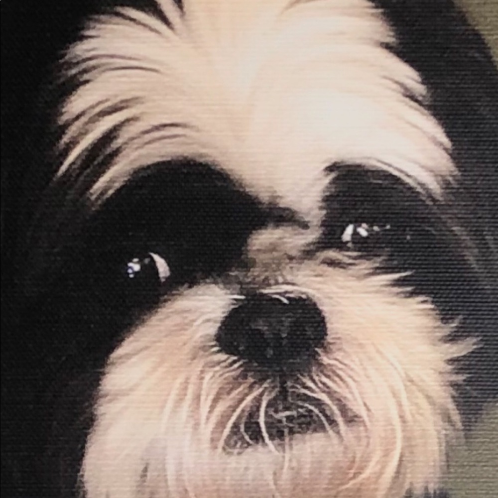 Meet your Posher, Ren